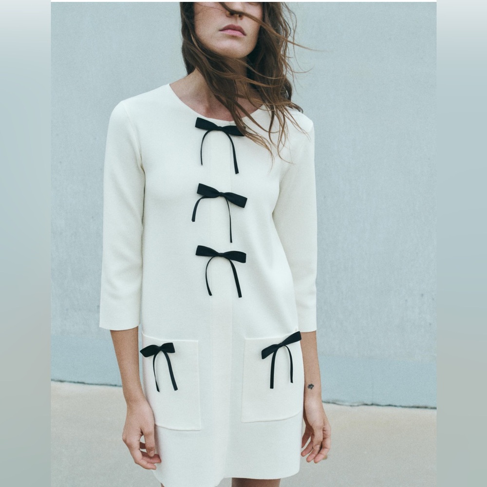 Zara Knit Long Sleeve Bow Dress Size XS